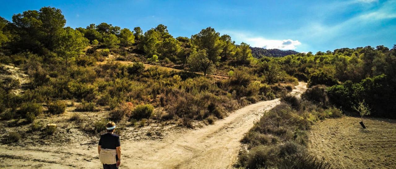 La brigada forestal comienza a trabajar en cauces y vías pecuarias de Sierra Escalona