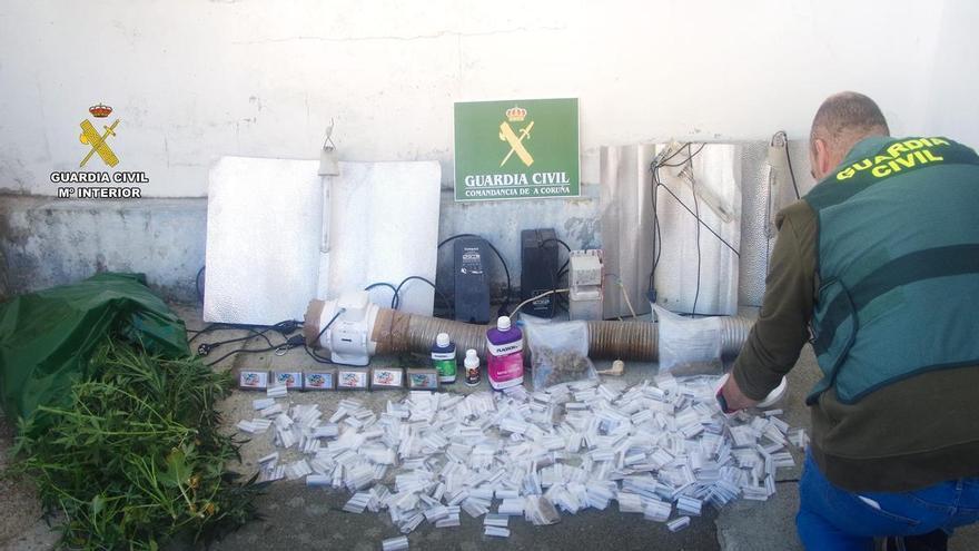 Detenido en Carballo al desmantelar la Guardia Civil un punto de venta de drogas con más de 30 plantas de marihuana