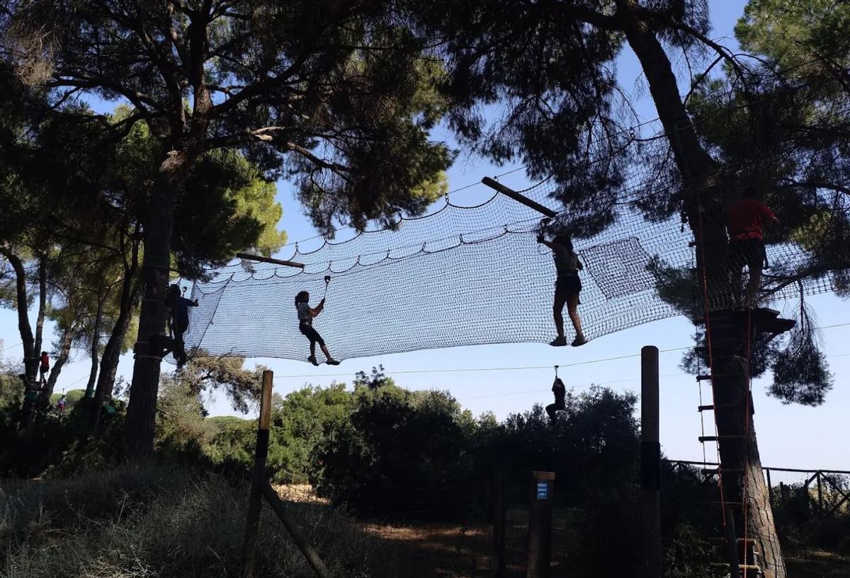 El parque de Sevilla con saltos al vacío, tirolinas y pasarelas de madera entre árboles: "Es el primero que se ha montado en Andalucía"