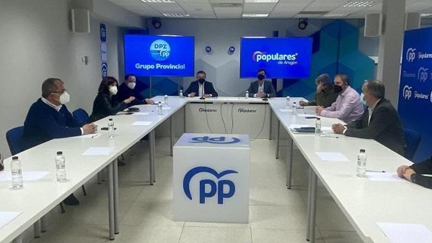 Celma pide disculpas por la abrupta reorganización del PP en Zaragoza