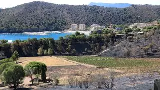 Les vinyes i les pastures, claus per frenar l'expansió de l'incendi de Colera i Portbou