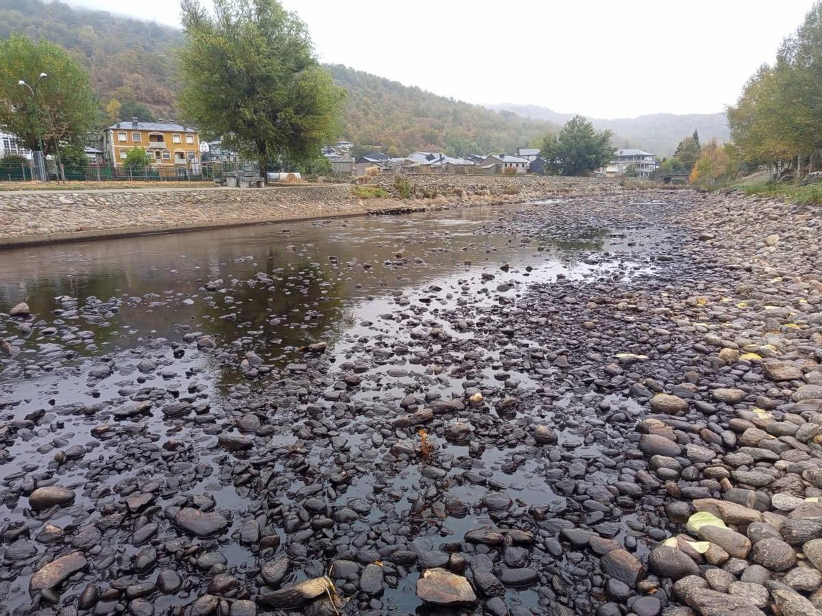 Las cenizas de los incendios tiñen de negro el río Bibei en Sanabria.