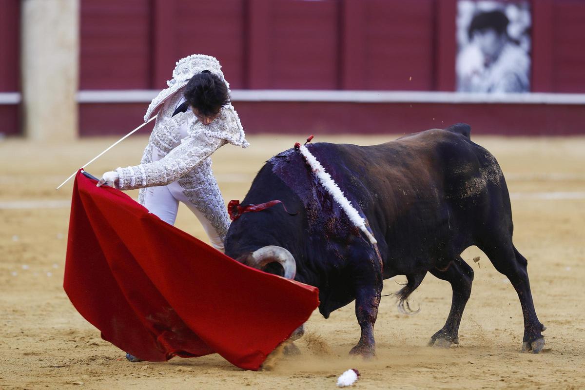 Roca Rey en la lida de uno de sus toros, este martes, en Málaga.