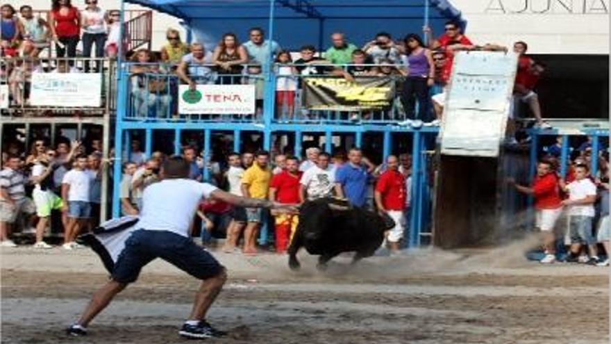 Un joven recibe de salida a uno de los dos ejemplares de Casa Domecq, ayer, en Burriana.