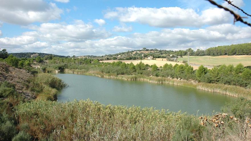 Sineu: El Parlament aprueba la propuesta para adquirir las viejas minas de lignito