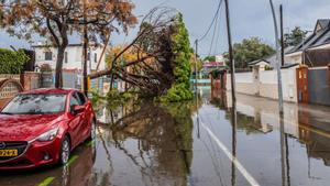 El Govern aposta per prevenir abans que enderrocar edificis en zona inundable