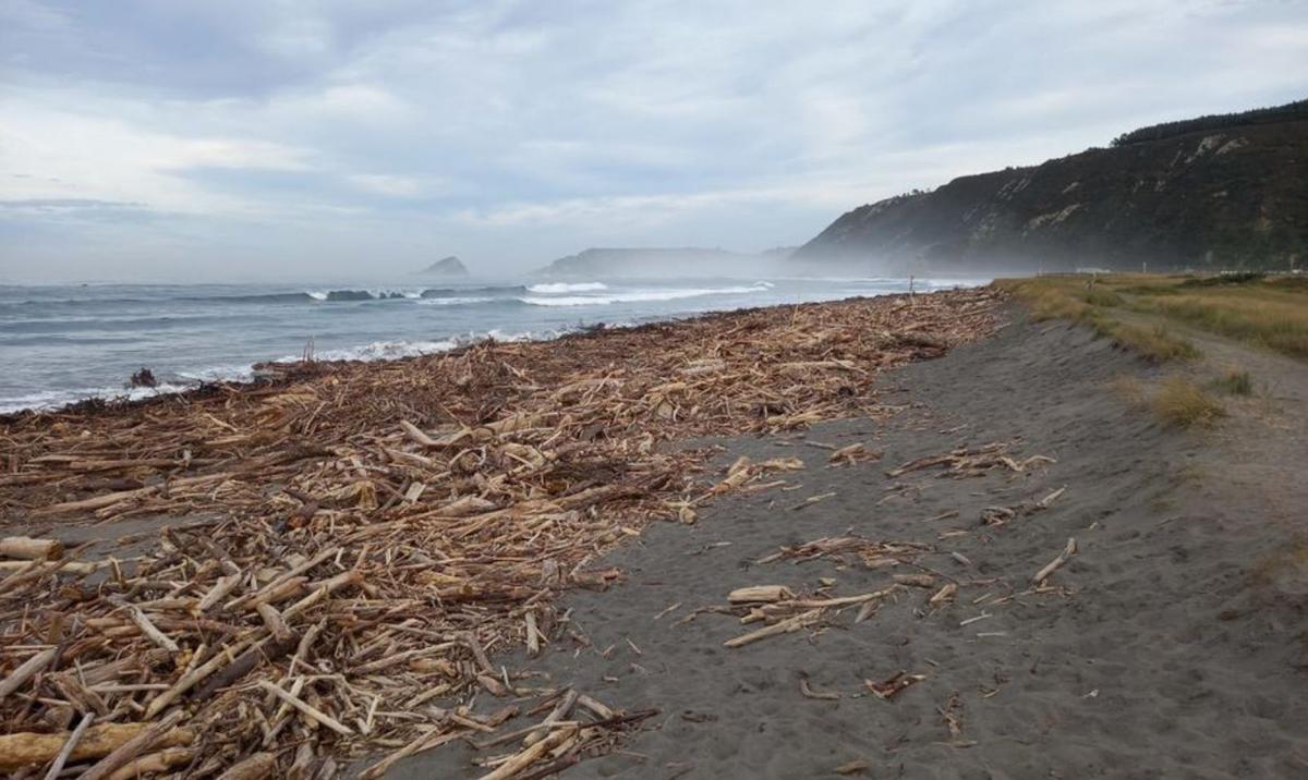 Madera acumulada en la playa de Los Quebrantos, ayer.