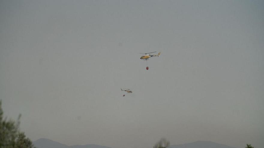 Medios aéreos y terrestres se movilizan ante un incendio forestal entre Consell y Alaró