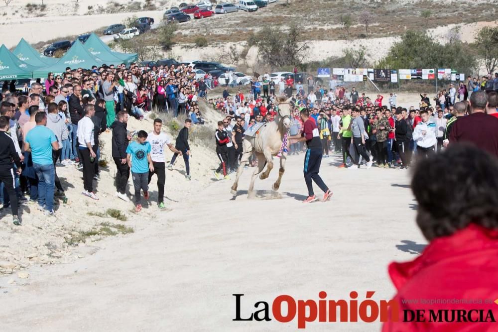 Entrenamiento Caballos del Vino