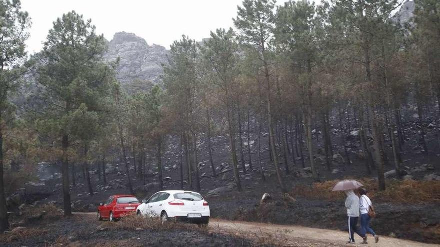 Zona del monte Galiñeiro completamente arrasada por el fuego. // Ricardo Grobas