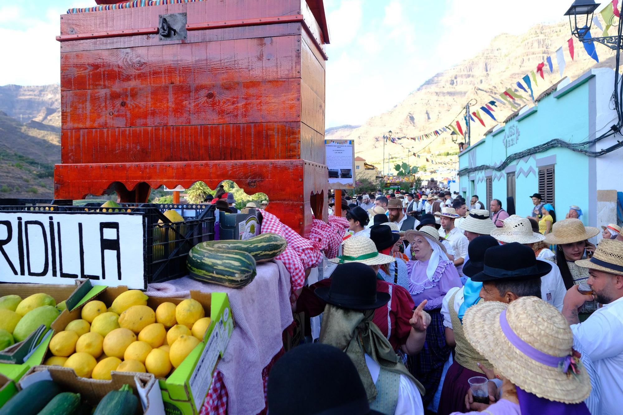 Romería-Ofrenda a San Antonio El Chico en Mogán