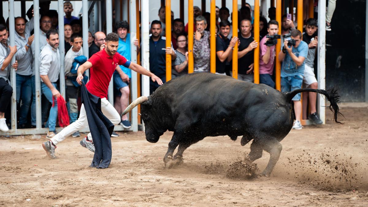 Castellón es la provincia de la Comunitat que más bous al carrer celebra.