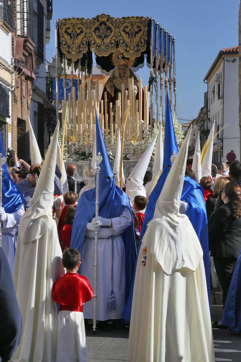 Domingo de Ramos en Córdoba