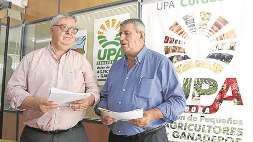 UPA exige ayudas para el olivar de sierra en la PAC