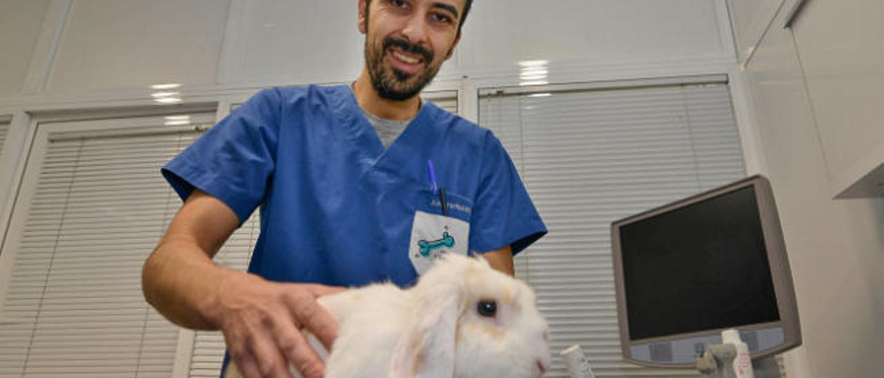 El veterinario Juan Hernández Marrero, en su consulta.