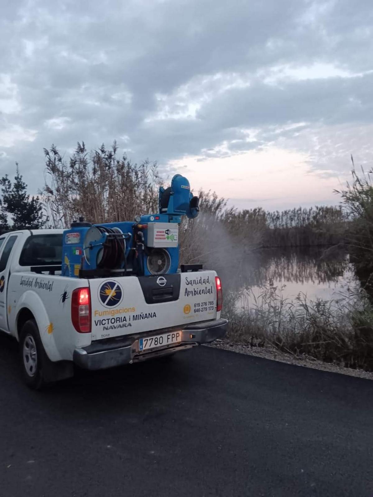 El tratamiento busca evitar la proliferación de mosquitos.