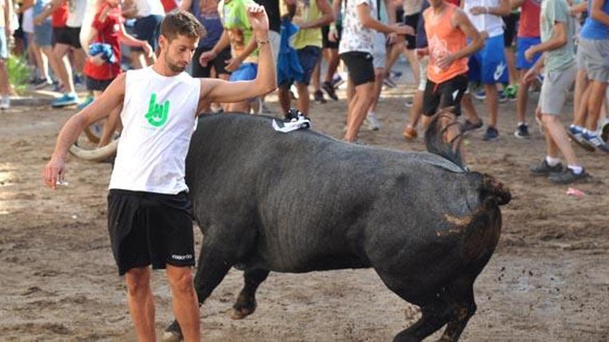 Los &quot;bous&quot;, sin apoyo institucional