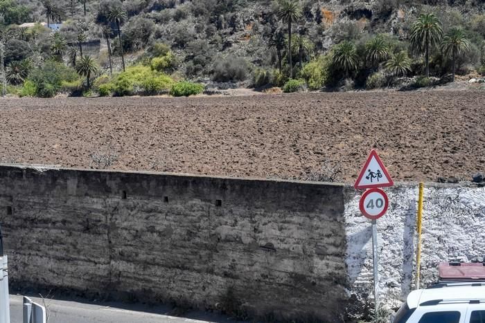 Invasión de moscas en el Barrio de La Cazada