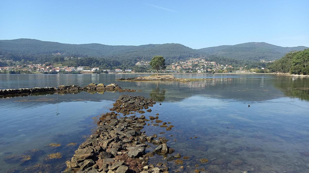 Ostreira de Campelo, en Poio