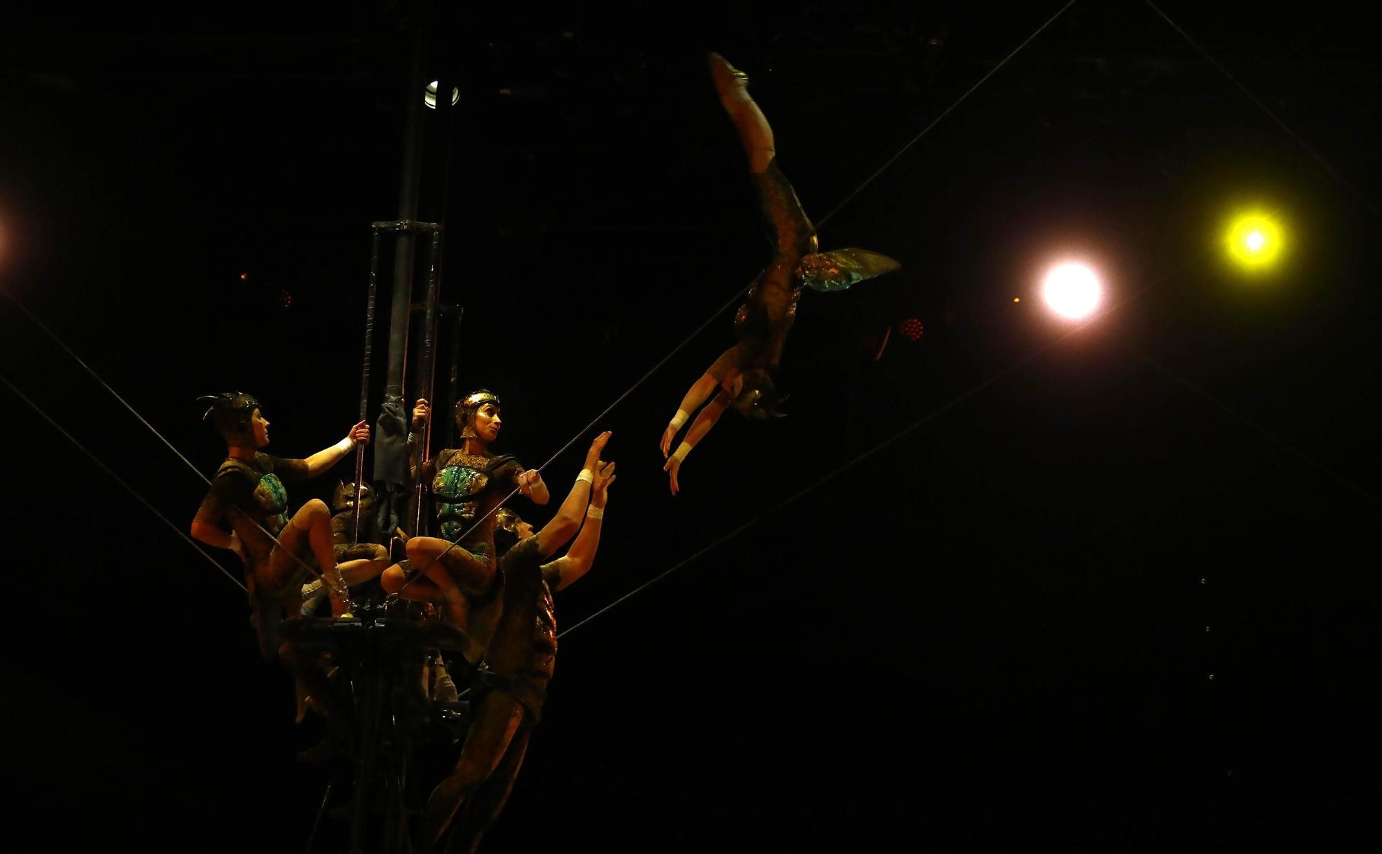 En imágenes | Así es ‘Ovo’, el espectáculo del Circo del Sol que se ha llegado a Zaragoza