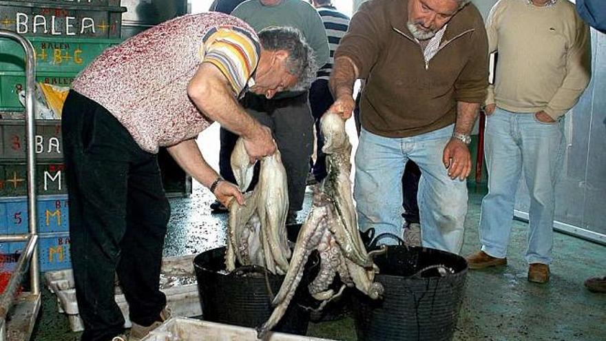 Una subasta de pulpo en la lonja de Baiona. / s. sas