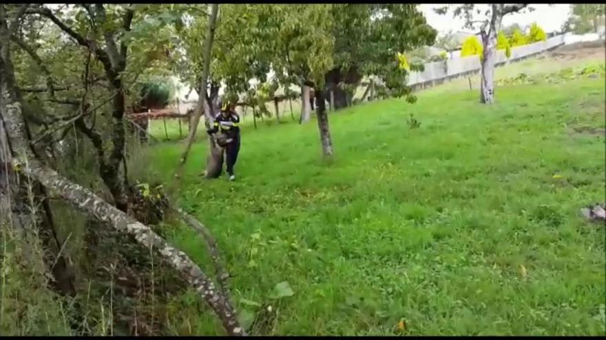 Dos ciclistas rescatan a un corzo