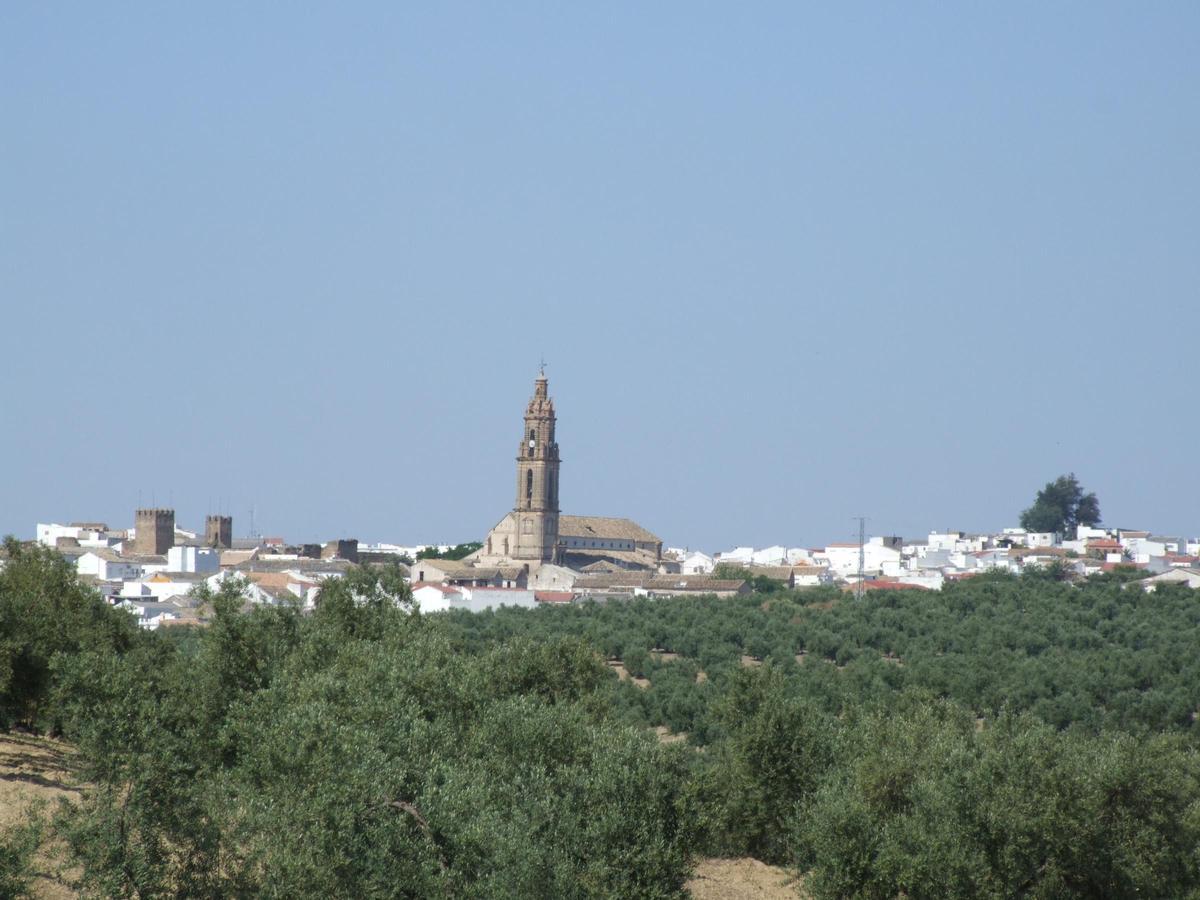 Panorámica de Bujalance.