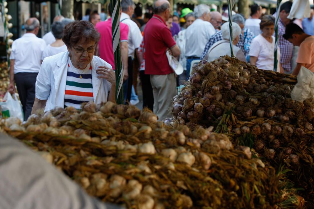 San Pedro 2016: Feria del Ajo