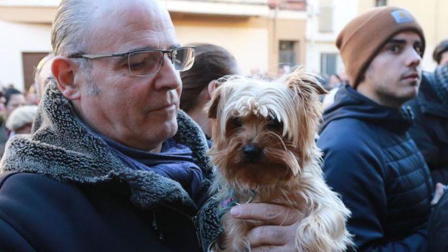 Las mascotas zamoranas, protagonistas de la bendición de San Antón