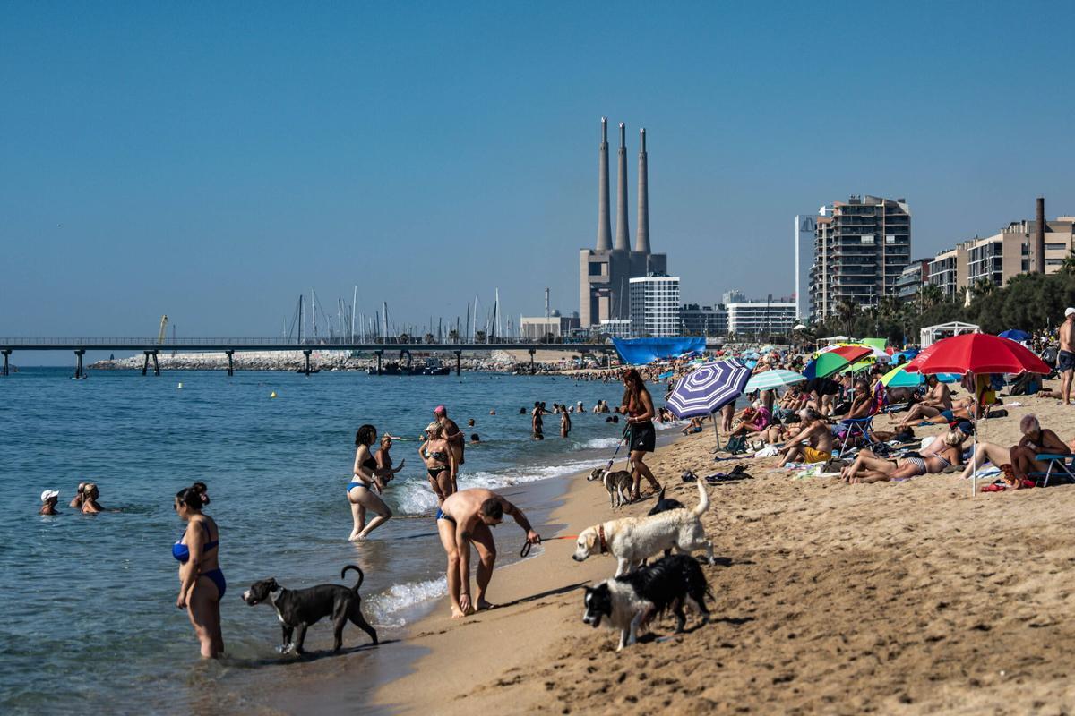 La playa de Badalona, una de las pocas del litoral catalán donde está permitido fumar.