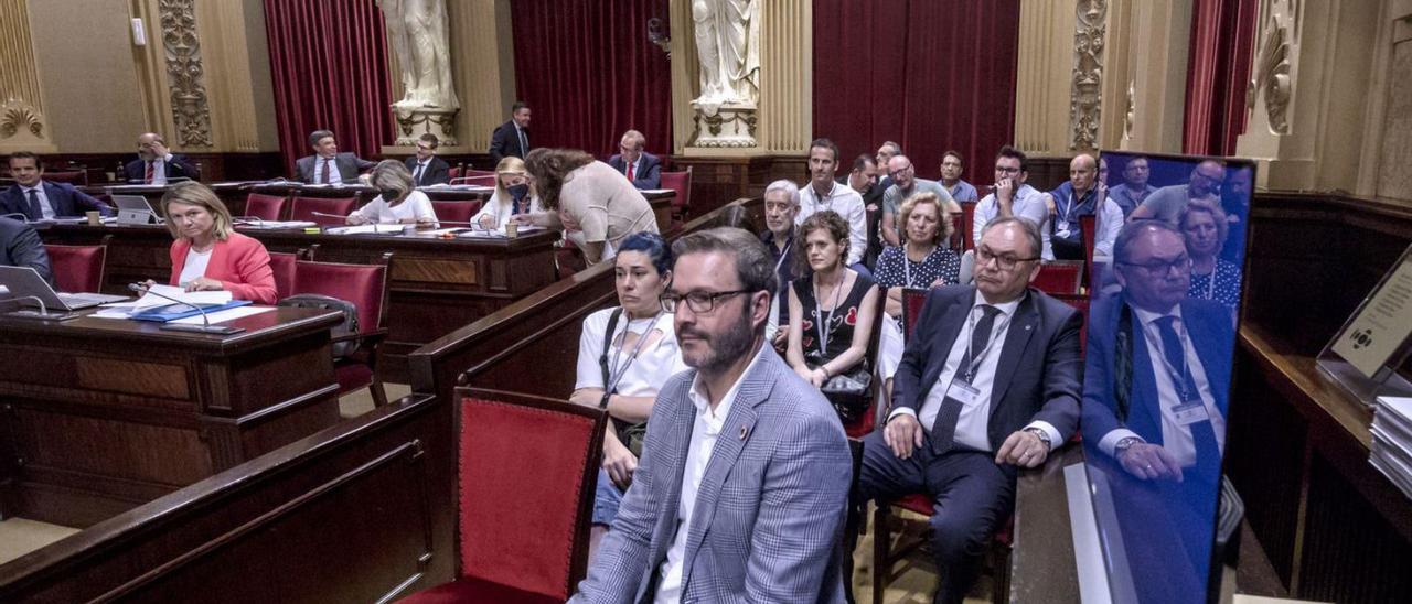 Bancada de invitados, ayer en el Parlament. | B.RAMON