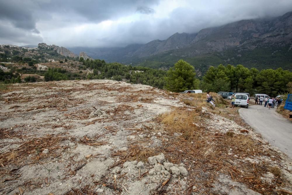 Agricultores y vecinos logran parar las máquinas que iban a triturar otra parcela afectada por la Xylella