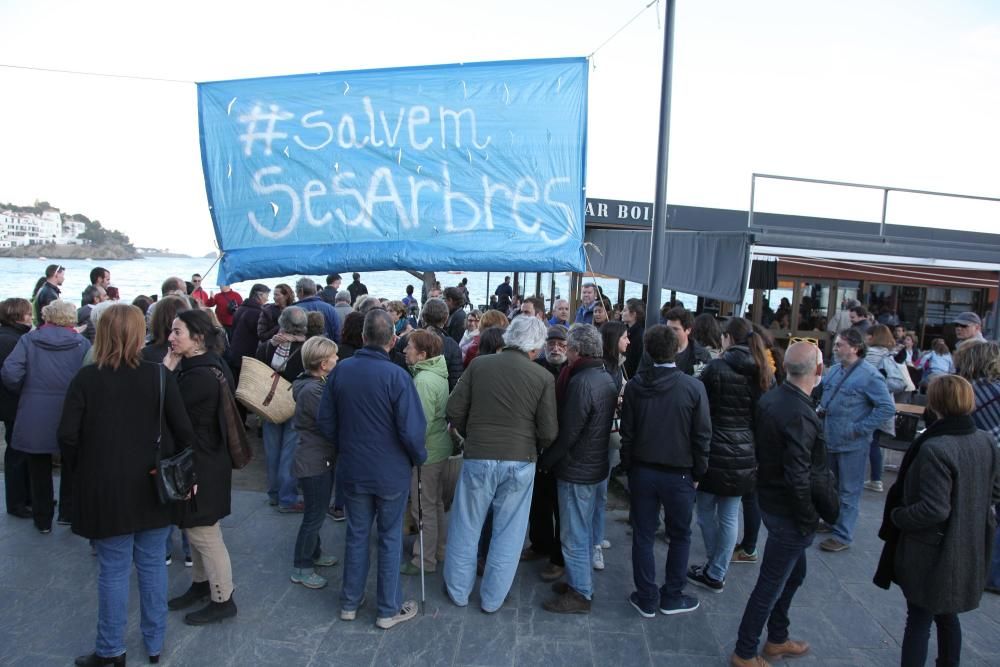 Protesta per la tala de plataners a Cadaqués