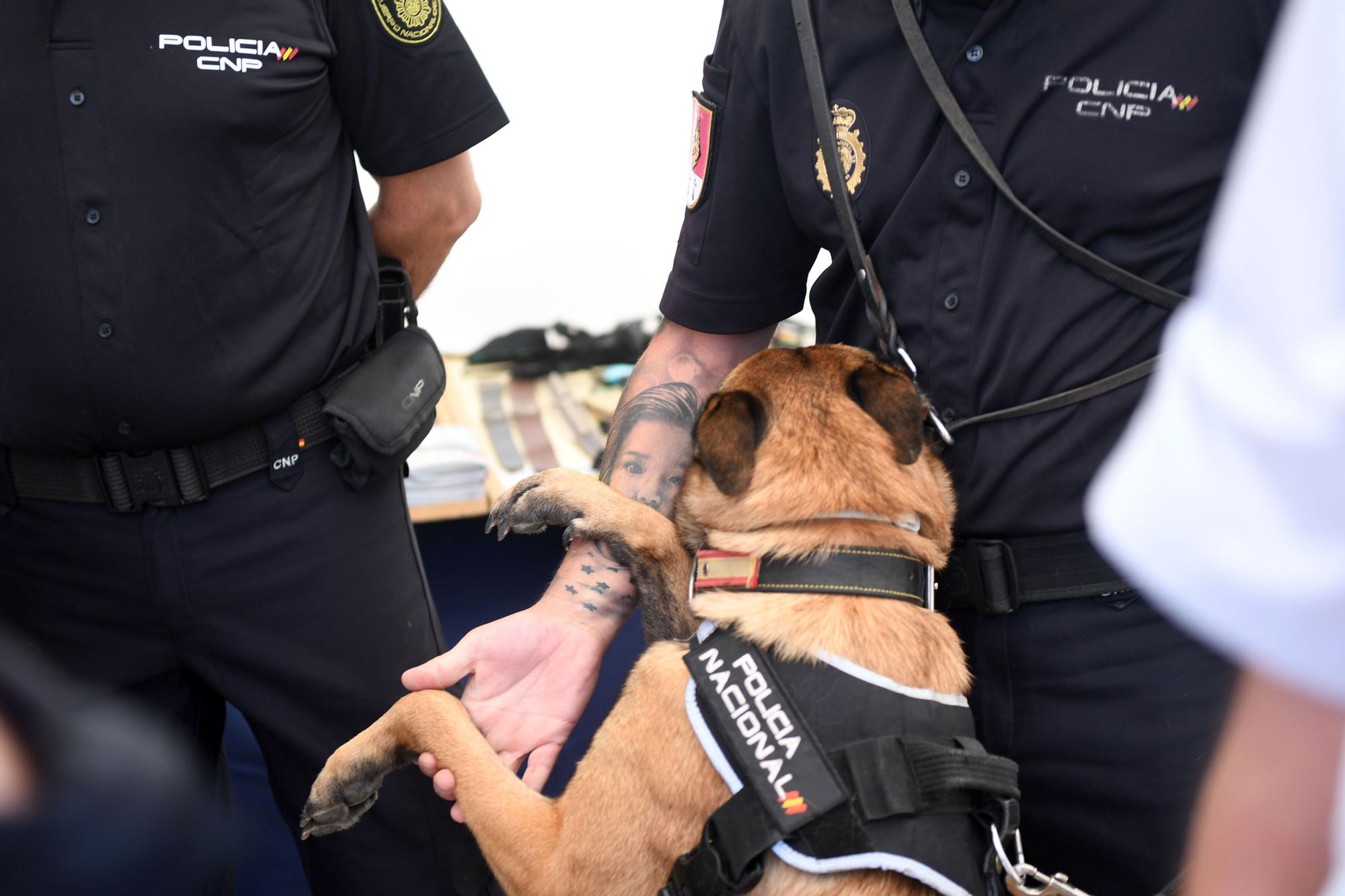 Exhibición de vehículos de la Policía Nacional expuestos en la Marina