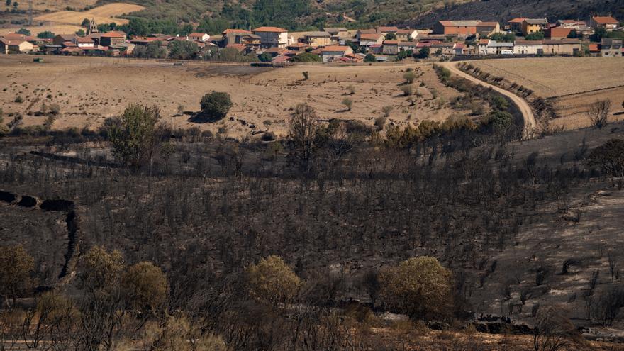 Confederación Hidrográfica del Duero invierte 605.000 euros en restauración forestal de los cauces afectados por los incendios