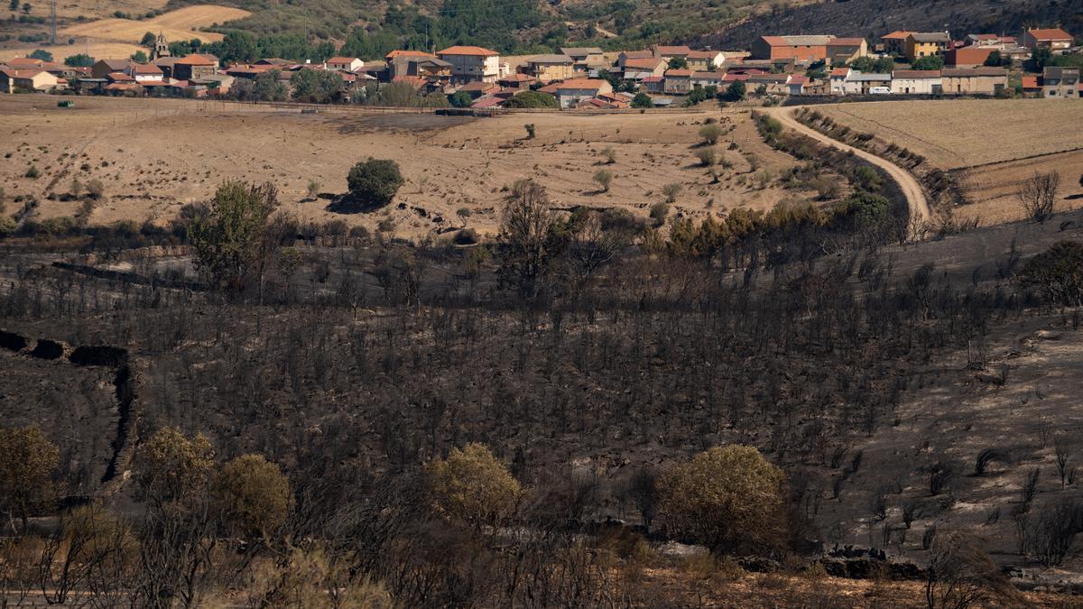 Gran incendio forestal conocido como de Losacio, en Zamora