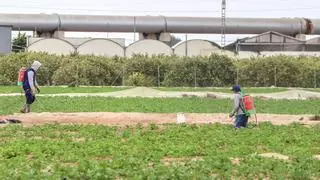 El Gobierno quiere que los regantes asuman un 20% del coste para instalar la energía fotovoltaica y así poder abaratar el agua