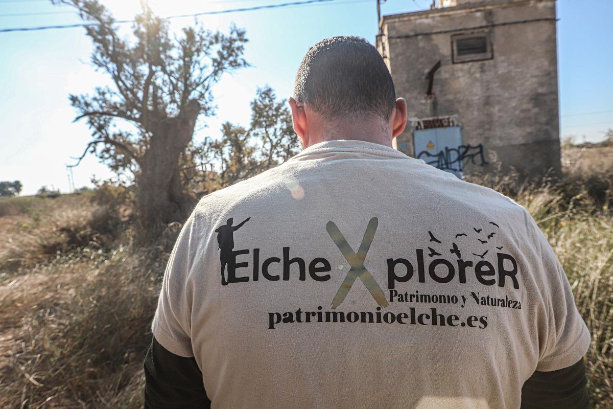 Elche Xplorer reclama mayor protección para el patrimonio arbóreo de Elche.