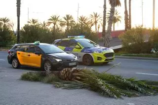 Los efectos del vendaval en Barcelona