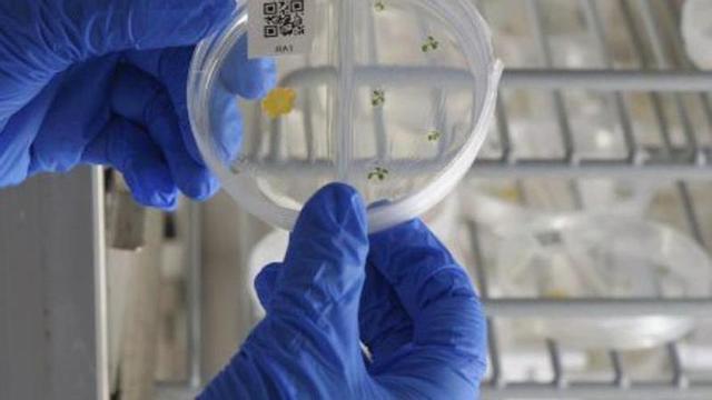 Impulso a la investigación en la UMA.