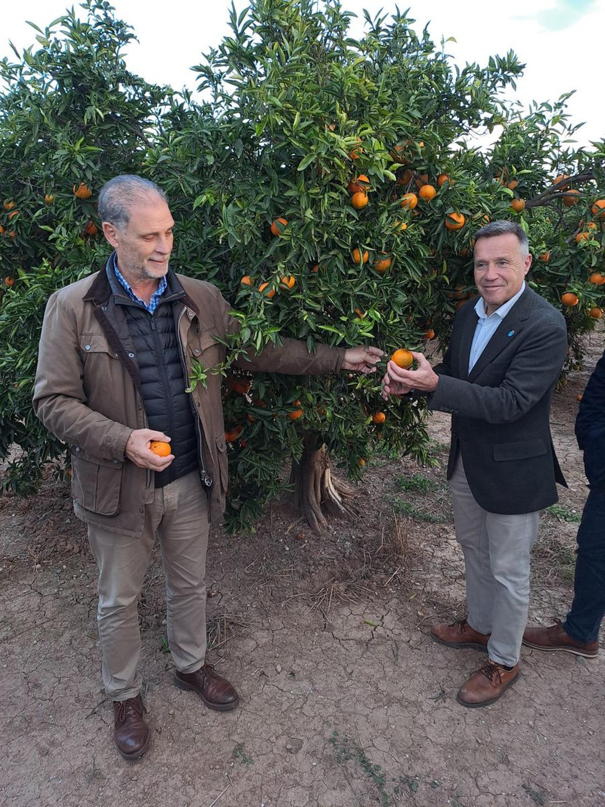 Momento del primer corte en el que han participado el secretario autonómico y el alcalde de Burriana.