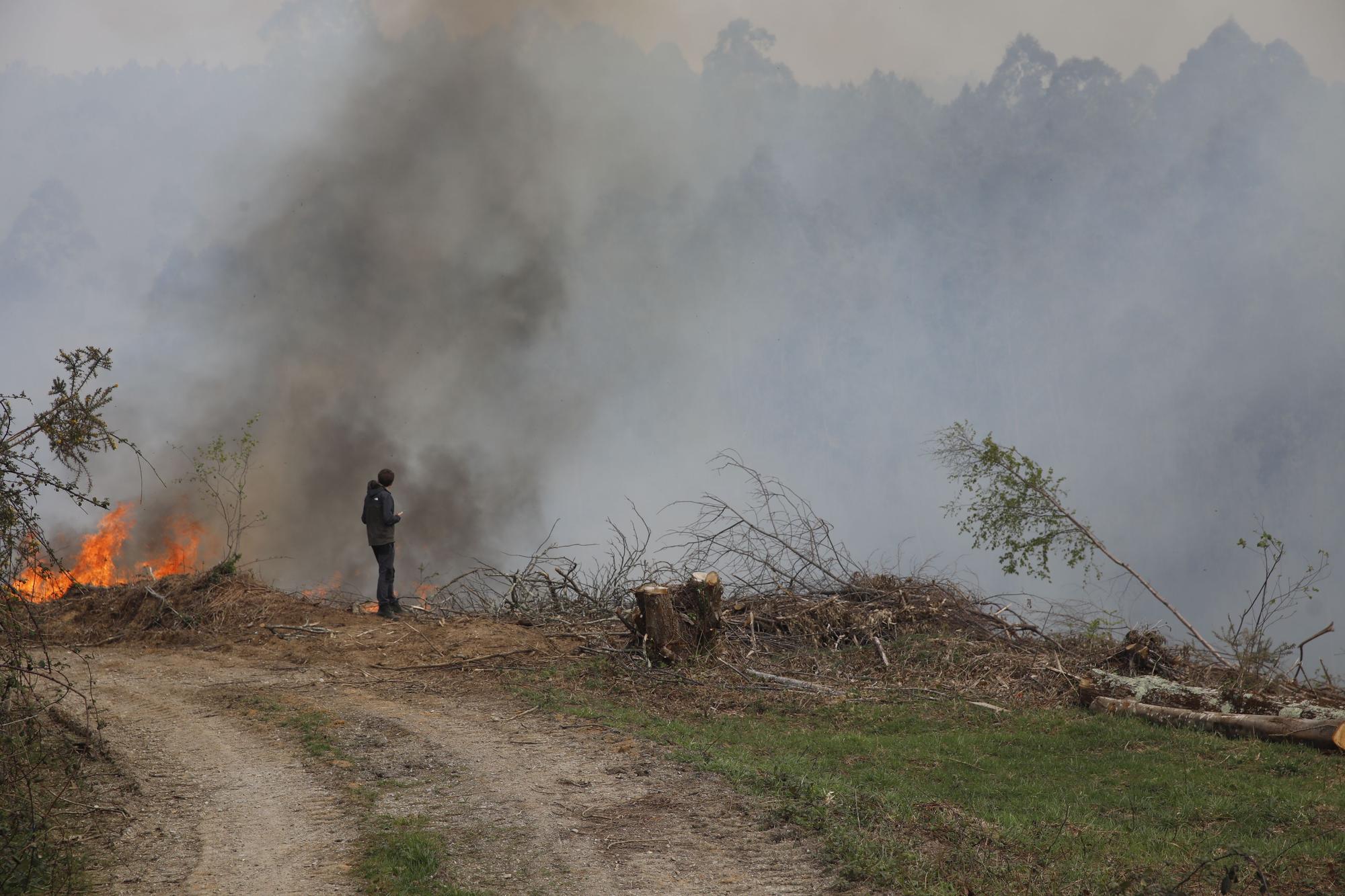 Incendio en la zona de San Pelayo de Tehona, en Valdés