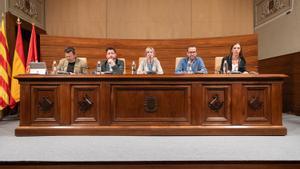 Imagen del pleno de la Diputació de Tarragona, este martes.