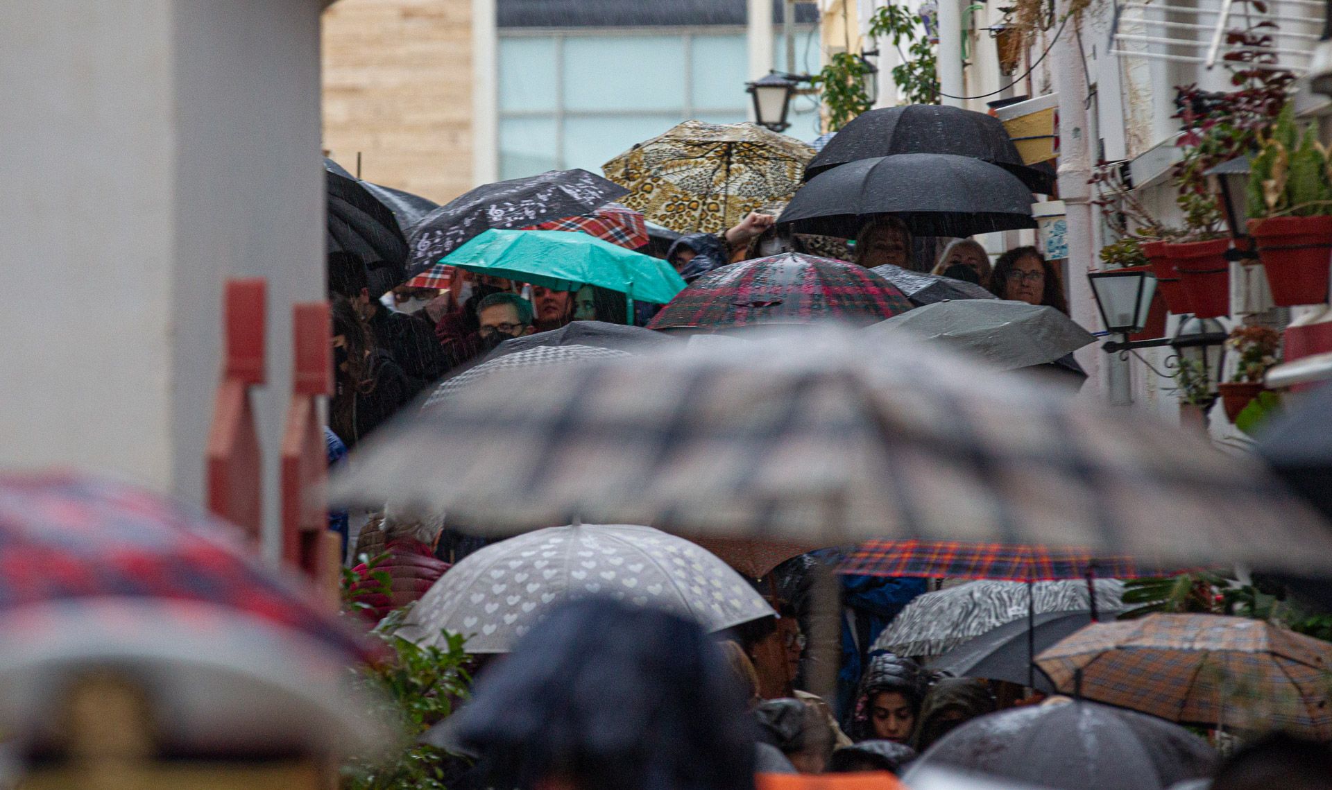 La lluvia no puede con Santa Cruz