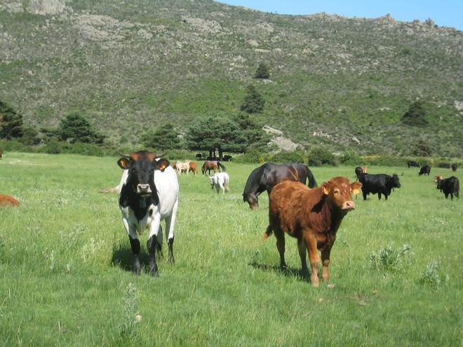 Valle de La Barranca 2 (1)