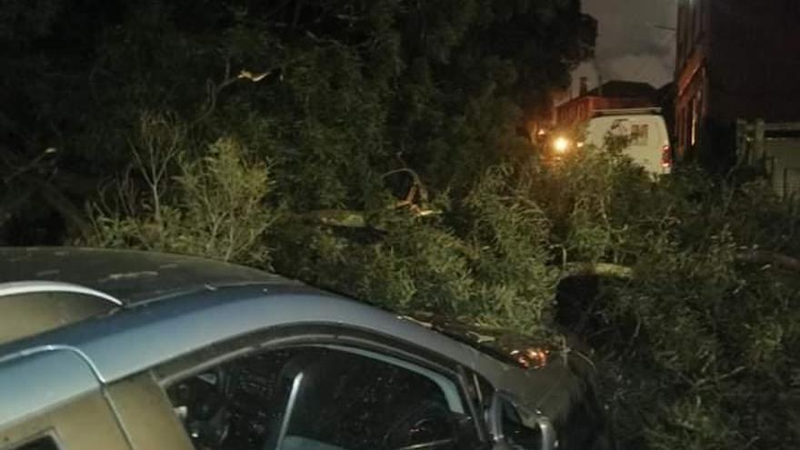Dos árboles se desploman sobre un coche en Castrelos