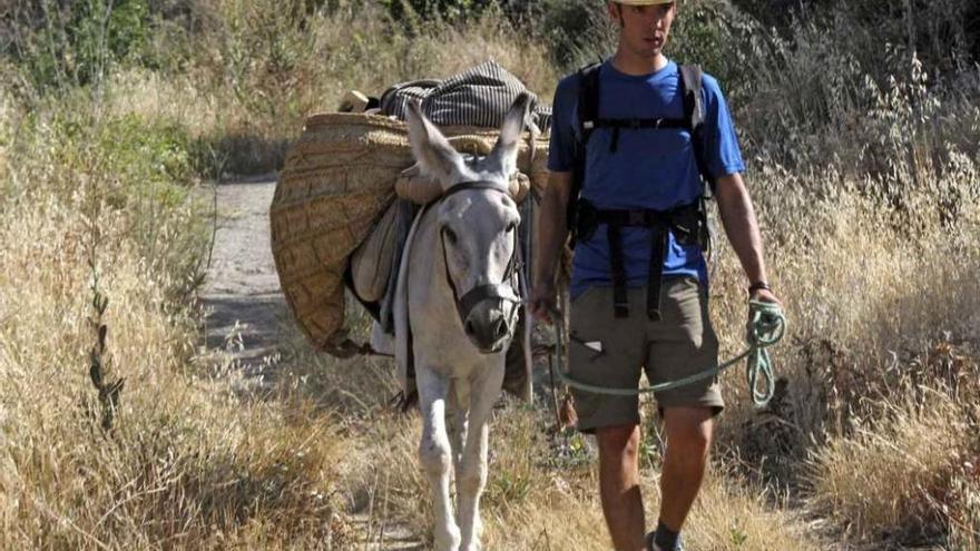 Borja Prada y su burro Wilson en su trayecto hasta Rábano de Sanabria. Foto