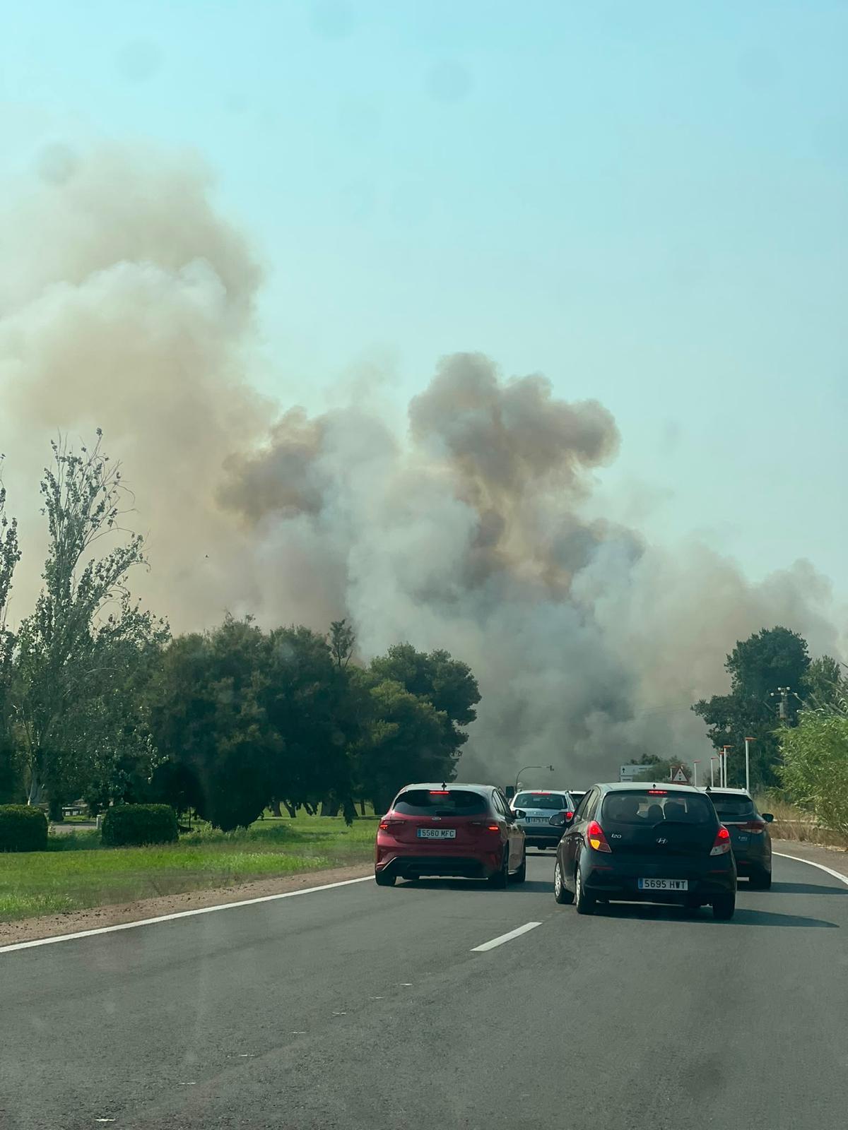 Un aparatoso incendio junto al Oceanogràfic y la autovía del Saler obliga a cortar el tráfico de entrada y salida a la ciudad