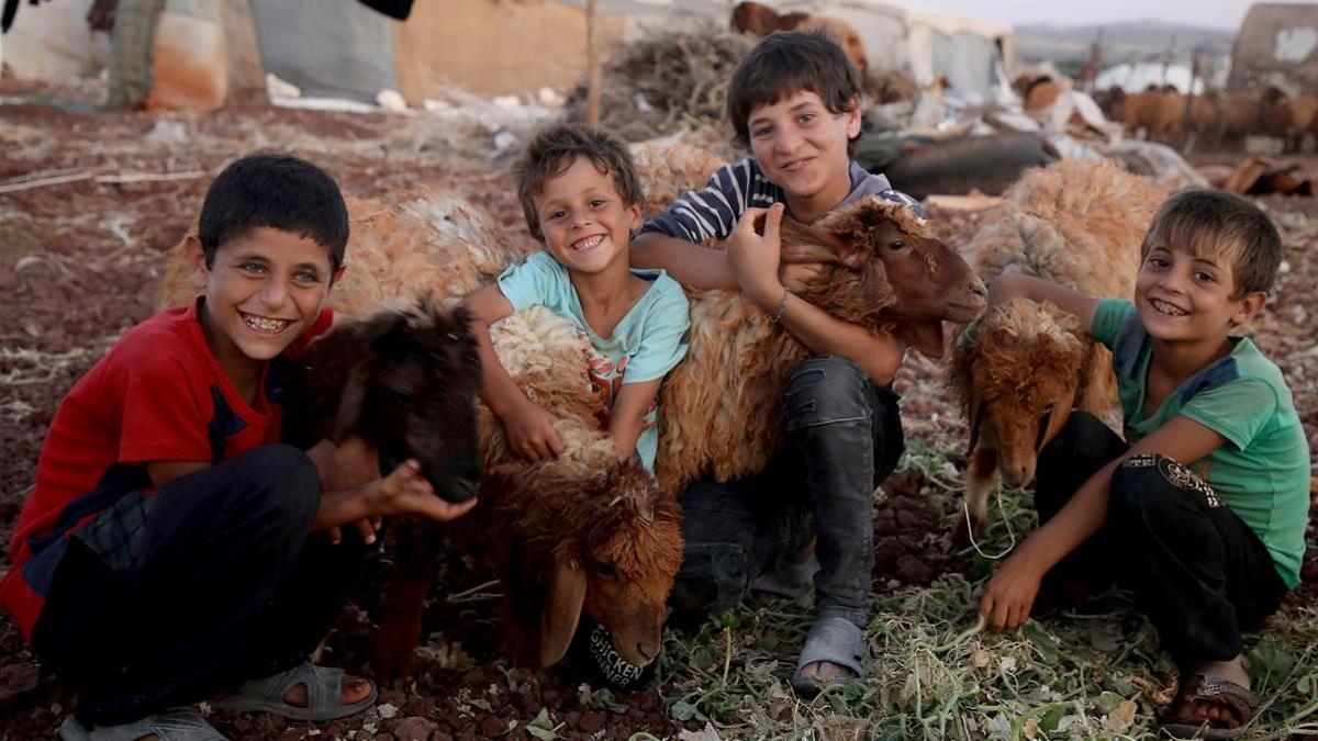 zentauroepp49362157 syrian children pose for a photograph with sheep at the atma190808130106