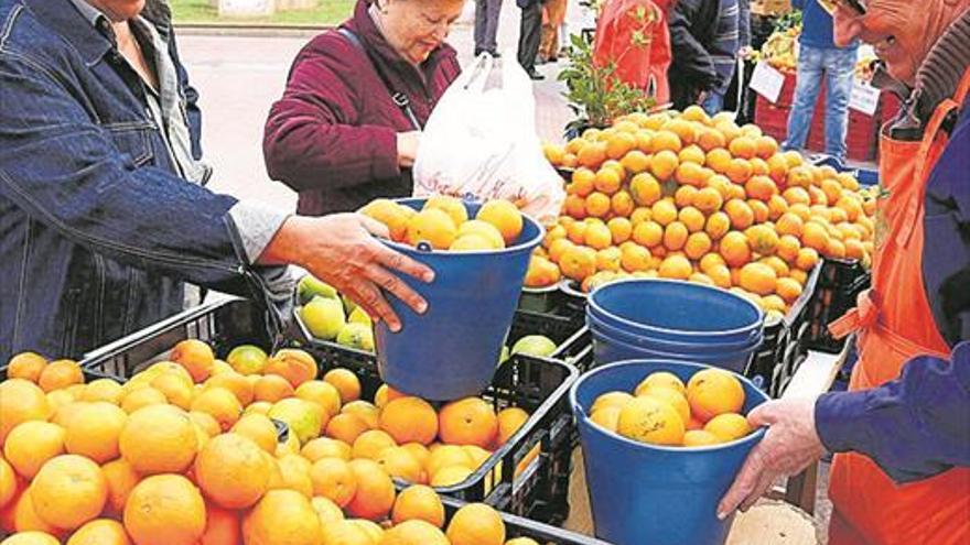 L’agricultura ecològica es reforça pel coronavirus i crea un mercat ‘on line’